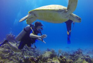 Scuba diving 