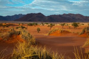 Namib Desert